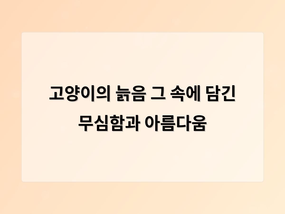 디알소프트 홈페이지제작