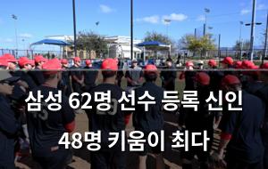 백링크