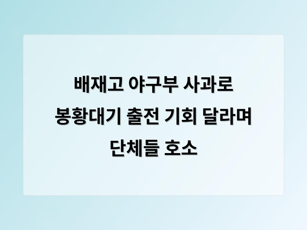디알소프트 홈페이지제작