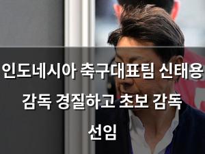 백링크