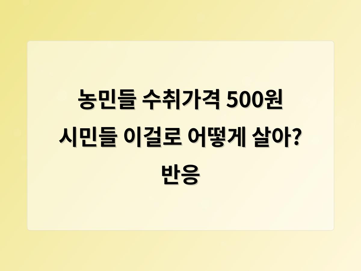 디알소프트 홈페이지제작