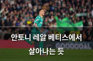 머신러닝