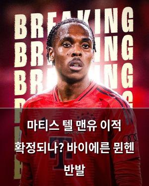 백링크