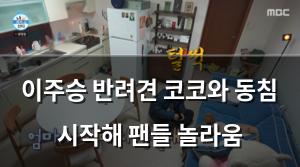 인공지능