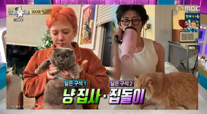 백링크