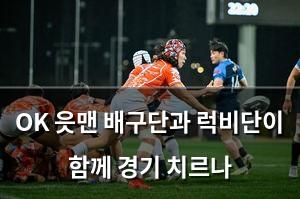백링크