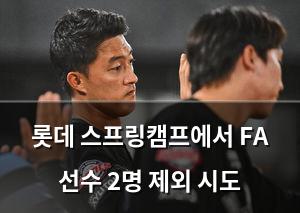 백링크