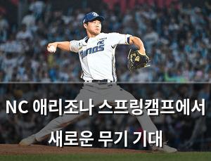 백링크