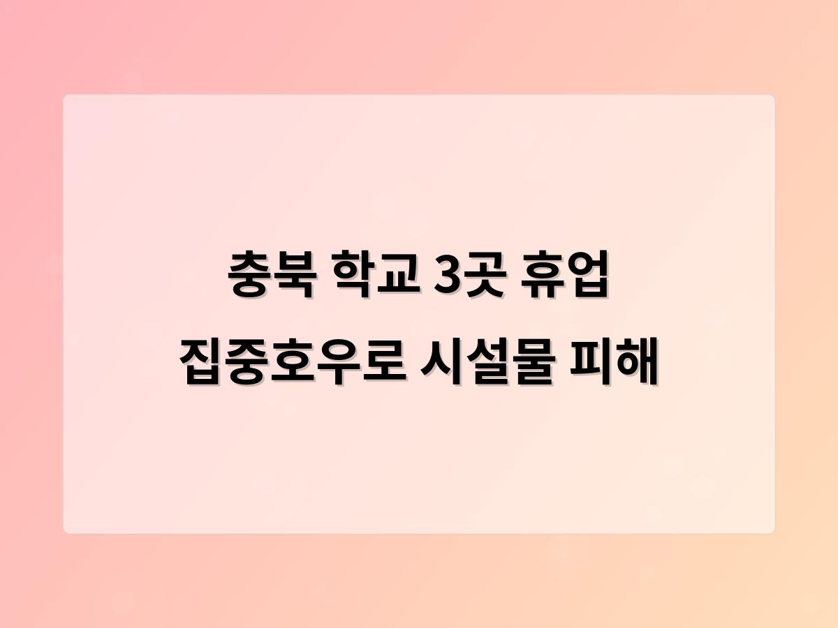 디알소프트 홈페이지제작