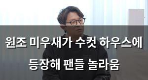 백링크