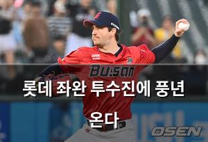 백링크