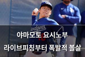 백링크