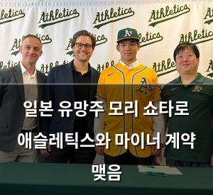 백링크