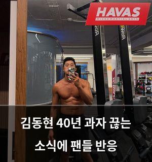 백링크