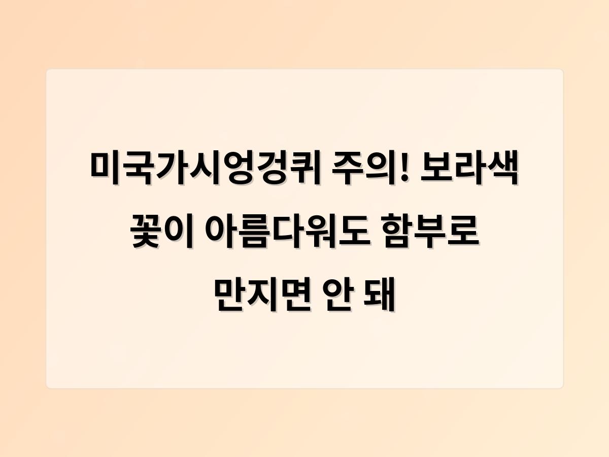 디알소프트 홈페이지제작