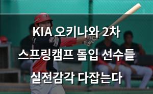 네이버SEO