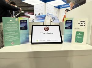 백링크