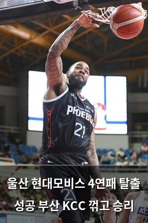 백링크