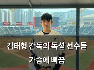 백링크