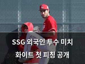 백링크
