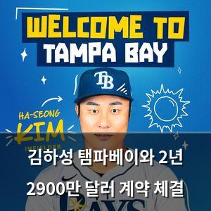 백링크