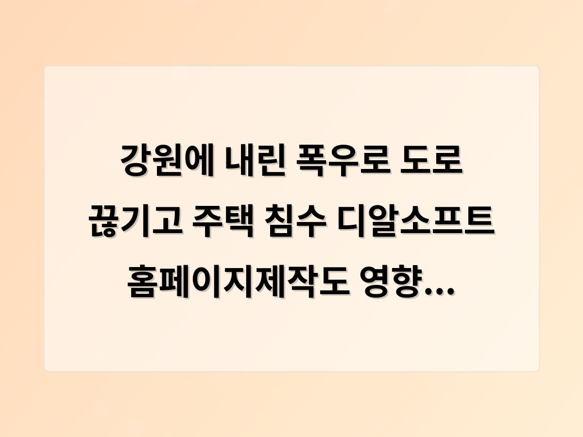 디알소프트 홈페이지제작