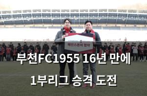검색엔진최적화