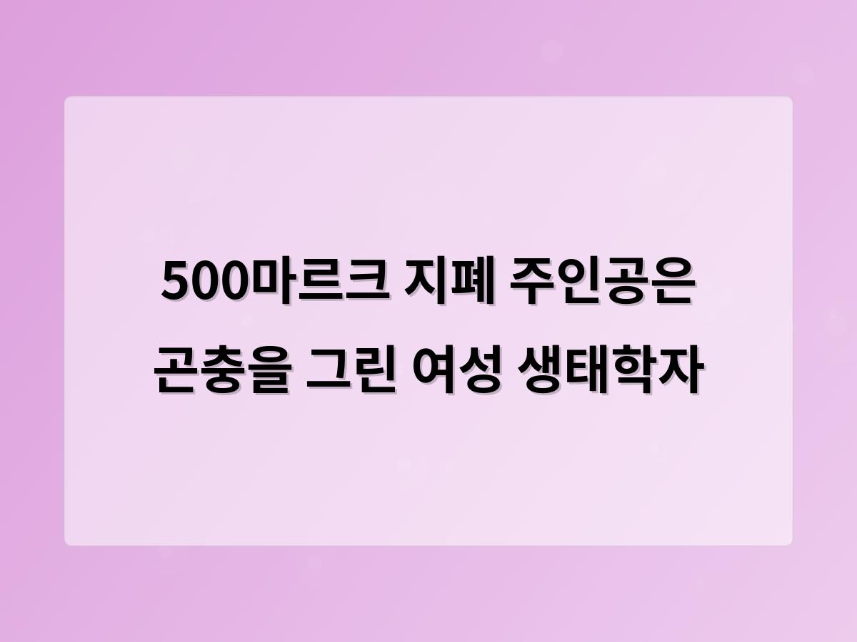 디알소프트 홈페이지제작
