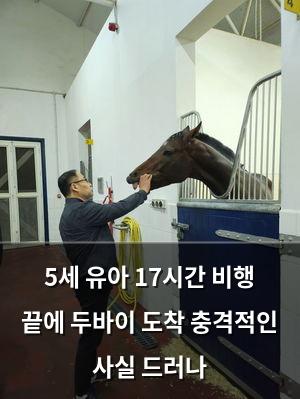 네이버SEO