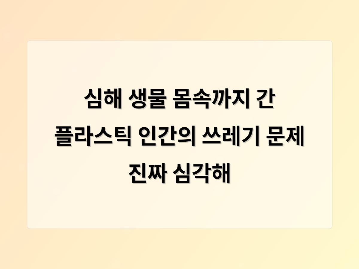 디알소프트 홈페이지제작