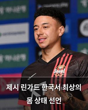 백링크