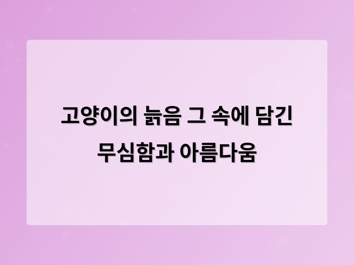 디알소프트 홈페이지제작