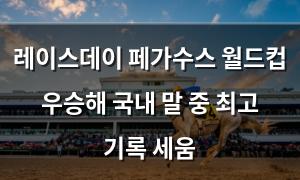구글SEO