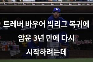 네이버SEO