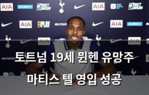 백링크