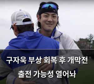 백링크