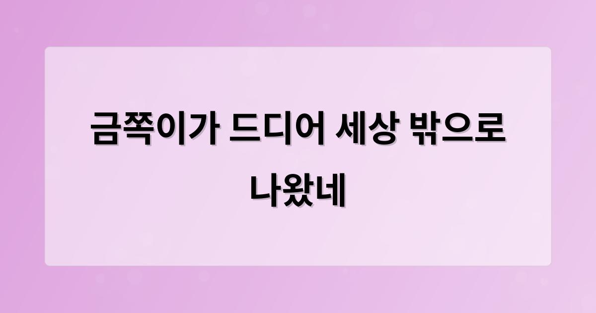 구글SEO