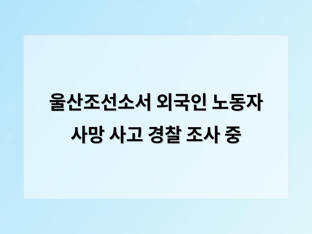 디알소프트 홈페이지제작