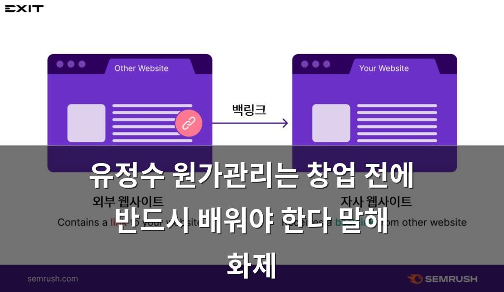 백링크