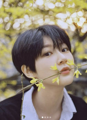 네이버SEO