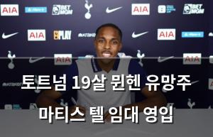검색엔진최적화