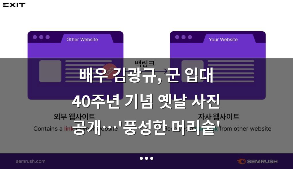 백링크