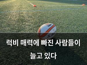 검색엔진최적화