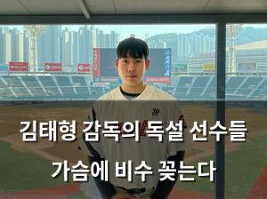 백링크