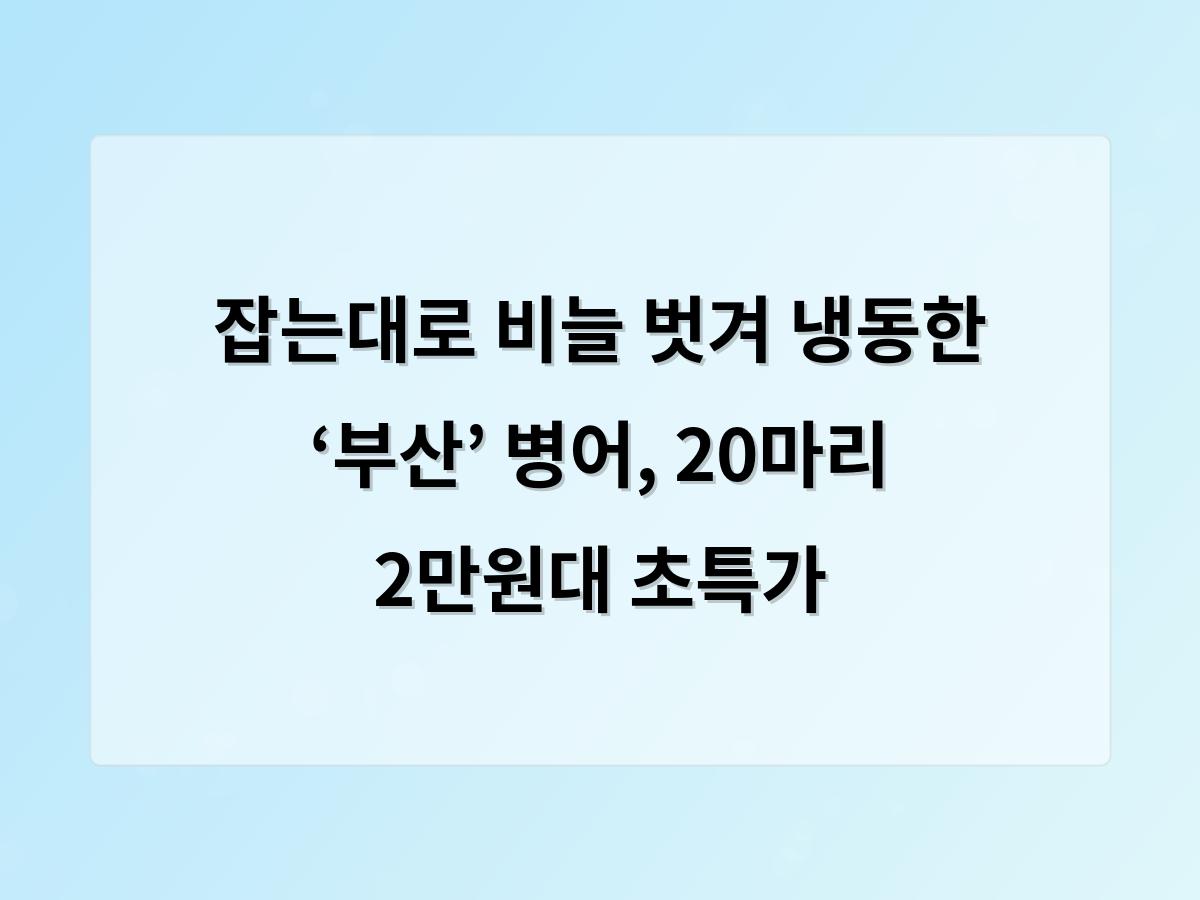 SEO 최적화