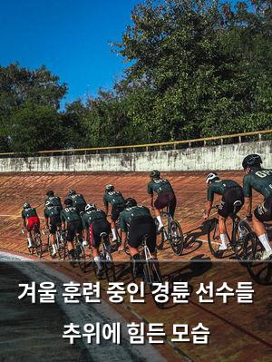 백링크