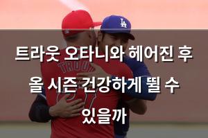 백링크