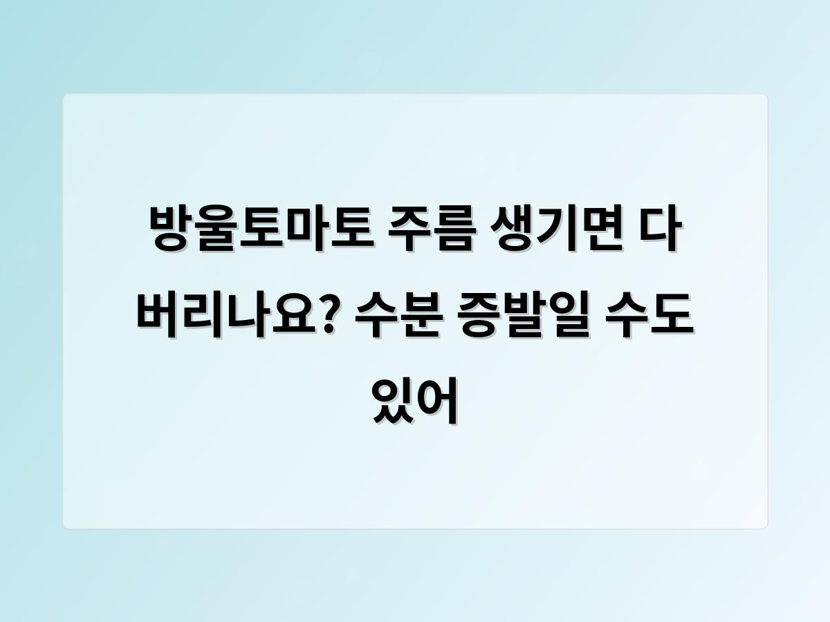 디알소프트 홈페이지제작