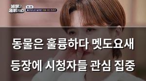 네이버SEO