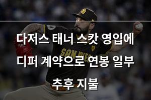 백링크
